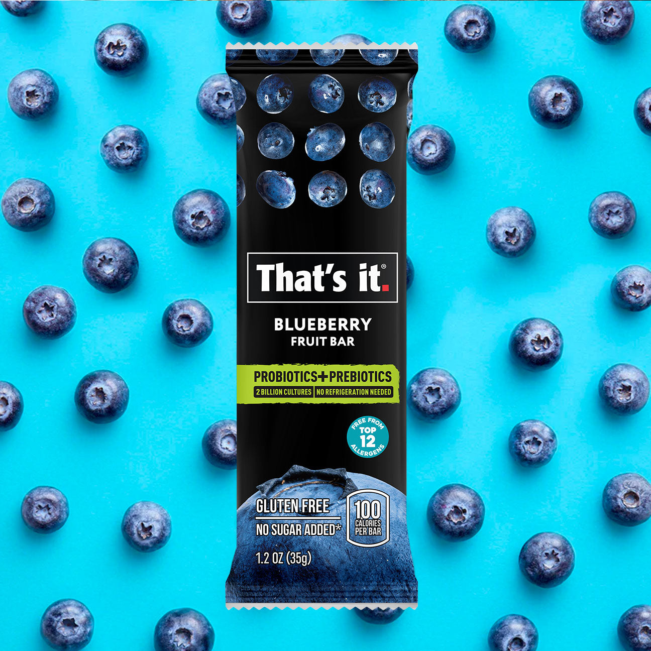 Blueberry Probiotic Fruit Bars - View 5
