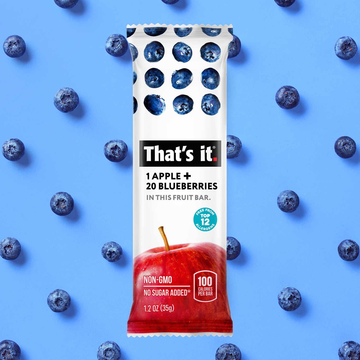 Fruit Bar Variety Pack - Strawberry & Blueberry (12 Bars) - View 6
