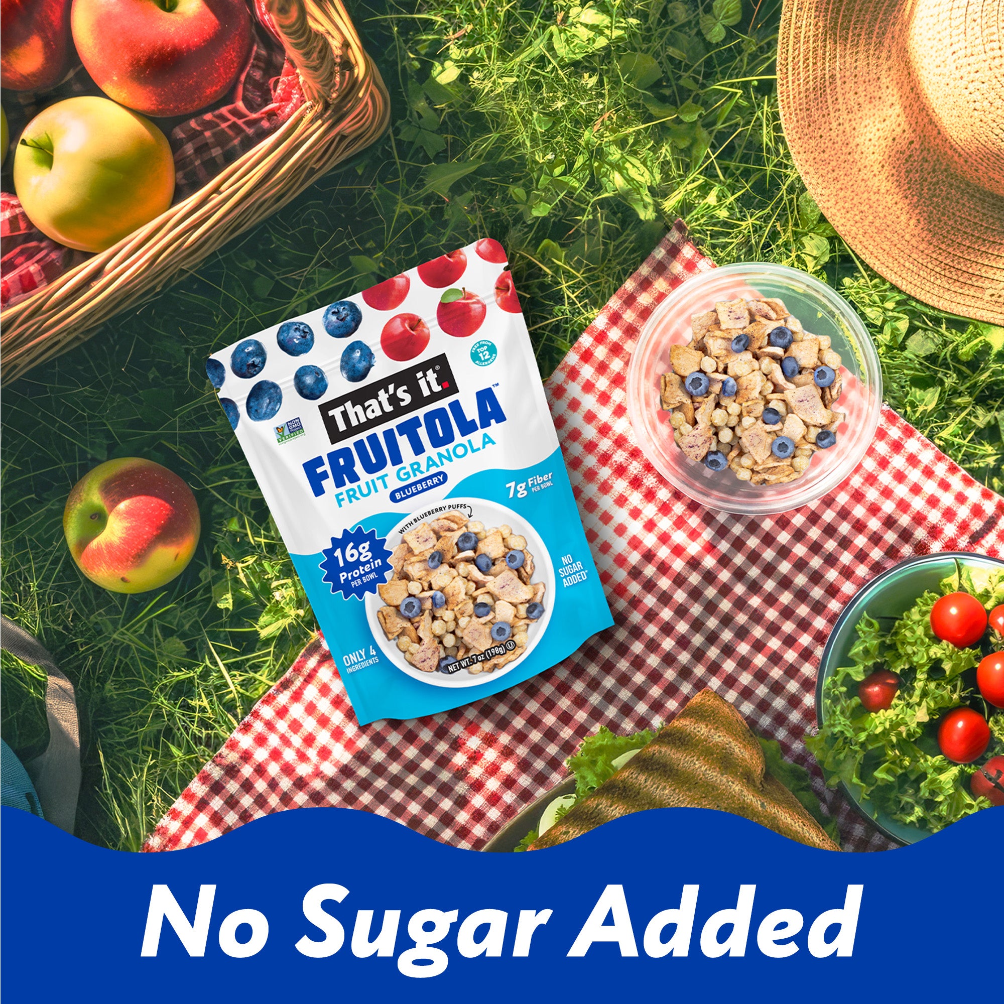 Blueberry Fruitola Fruit Granola (3 Packs) - 7oz - View 6